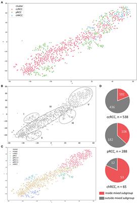 Subgroup-Independent Mapping of Renal Cell Carcinoma—Machine Learning Reveals Prognostic Mitochondrial Gene Signature Beyond Histopathologic Boundaries